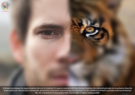 LLUVIAS DE VERANO ILUSTRADO 1990 IMAGENES 5 - RADIO SAI