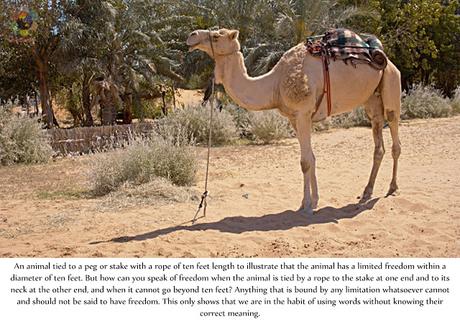 LLUVIAS DE VERANO ILUSTRADO 1990 IMAGENES 5 - RADIO SAI