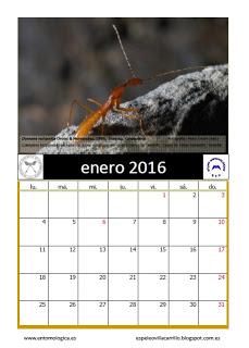 Calendario AeE-GEV. Enero 2016
