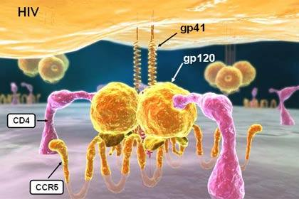 Hacia la eliminación del VIH