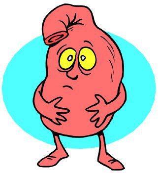 propositos de año nuevo, 2016, propositos gastronomicos, gastronomia, foodies