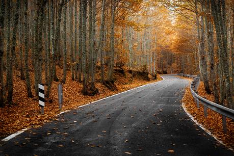 Carretera Otoñal de Iñaki MT en 500px.com