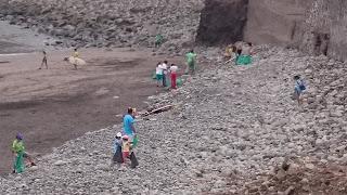 Limpieza de Almáciga...