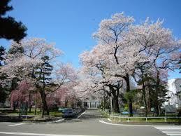 Viajes gratuitos a la región nororiental de Tohoku