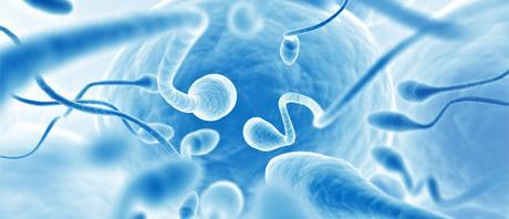 FIVET SE QUEDA SIN FINANCIACIÓN PÚBLICA