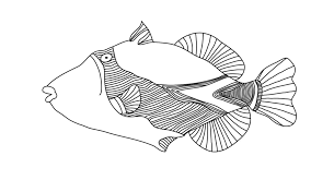 Resultado de imagen de everything everything nicola yoon draws