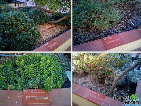 Jardín Mercè Rodoreda