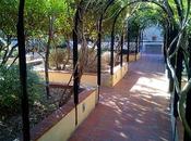 Jardín Mercè Rodoreda