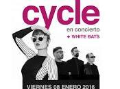 Cycle White bats Sala