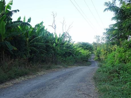 Ometepe, la isla de los dos volcanes