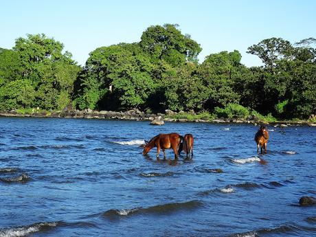 Ometepe, la isla de los dos volcanes