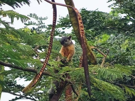 Ometepe, la isla de los dos volcanes