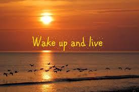 De la creencia a la confianza