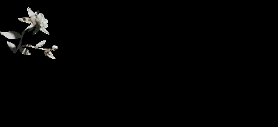 ¡Ganadores del sorteo de La Cinta de Moebius!