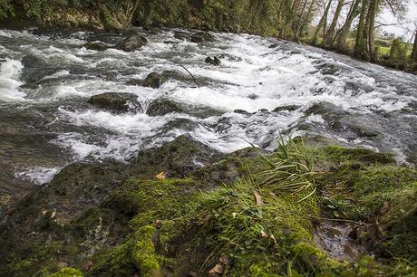 Aguas de Hoznayo