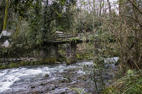 Aguas de Hoznayo