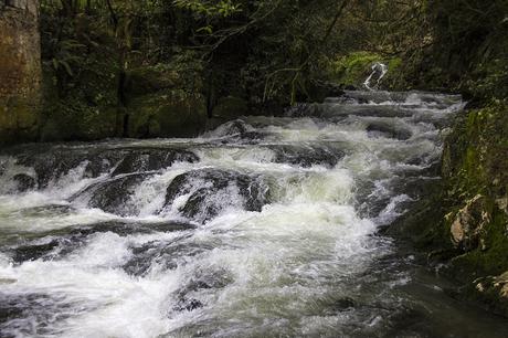 Aguas de Hoznayo