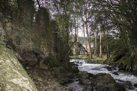 Aguas de Hoznayo