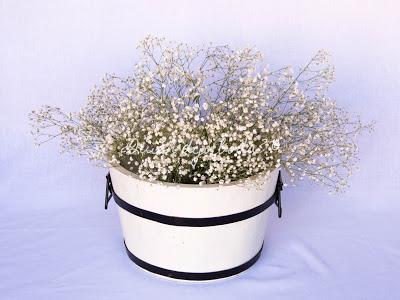 Cubo con paniculata para el pasillo nupcial