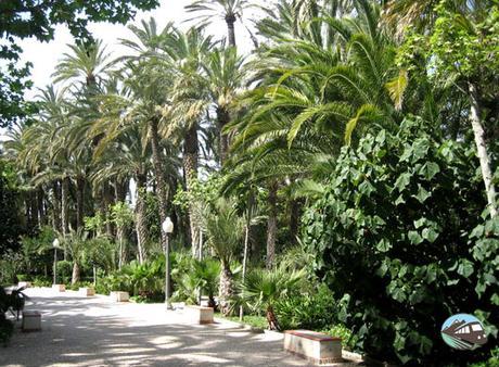 Parque municipal - Elche