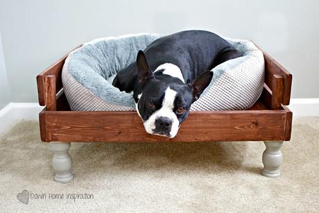 DIY: Hazle una cama a tu perro por menos de 20€