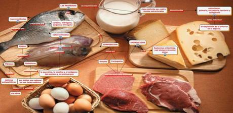 Las proteínas en el ciclismo