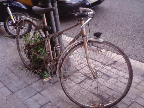 A LA BICI ABANDONADA LE CRECEN LAS HIERBAS, A LA BARCELONA D' ABANS D' AVUI I DE SEMPRE...8-01-2016...!!!