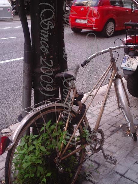 A LA BICI ABANDONADA LE CRECEN LAS HIERBAS, A LA BARCELONA D' ABANS D' AVUI I DE SEMPRE...8-01-2016...!!!