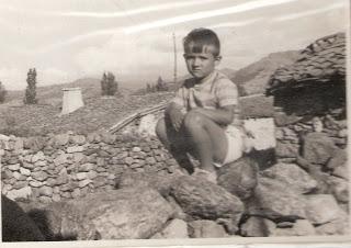 La piedra en la valla