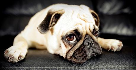 Siempre es preferible no utilizar sedantes a menos que sea absolutamente necesario