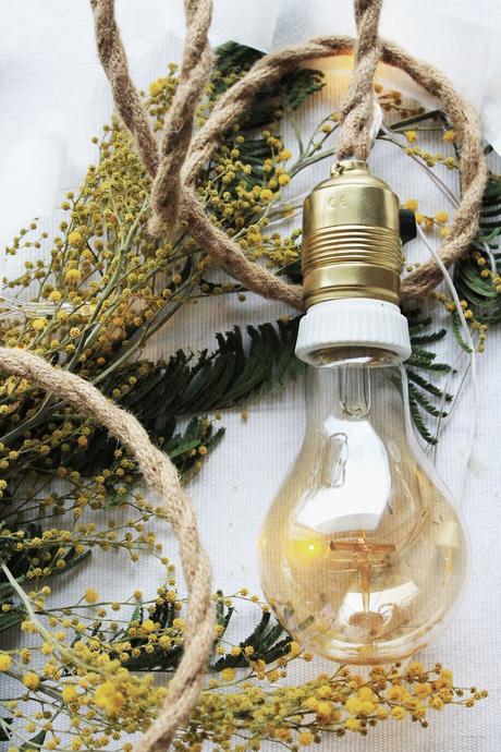 Y llegaron los Reyes