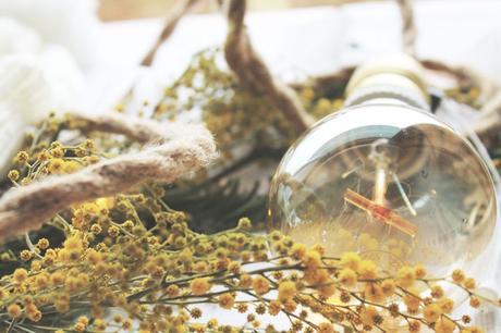 Y llegaron los Reyes