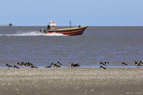Una vuelta por Tapera de López