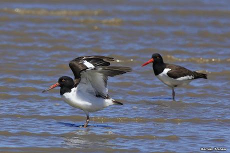 Una vuelta por Tapera de López