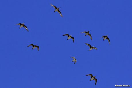 Una vuelta por Tapera de López