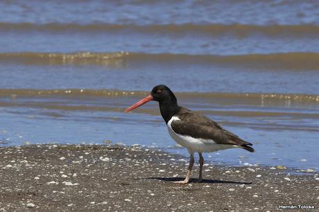 Una vuelta por Tapera de López