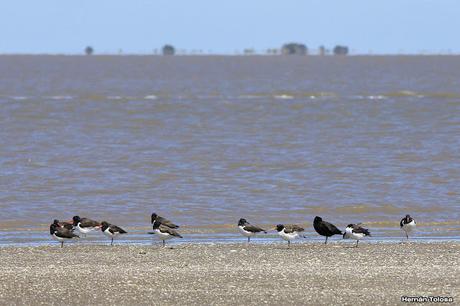 Una vuelta por Tapera de López