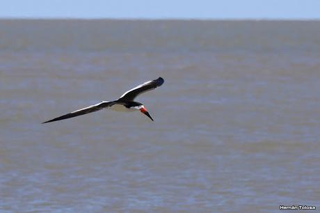 Una vuelta por Tapera de López