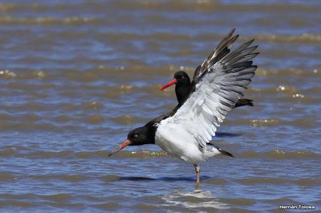 Una vuelta por Tapera de López