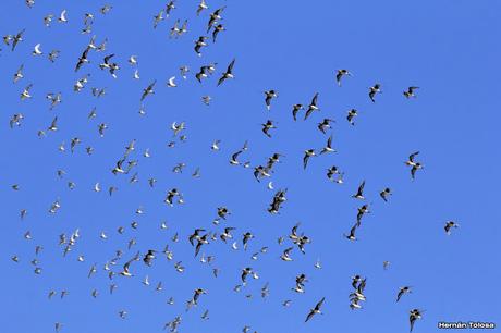 Una vuelta por Tapera de López
