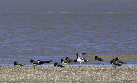 Una vuelta por Tapera de López