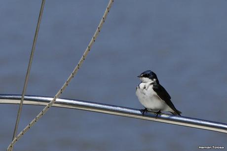 Una vuelta por Tapera de López