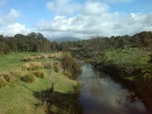 río Alcollarín entre Santa Cruz y Zorita