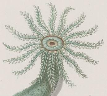 Public Domain Public Domain