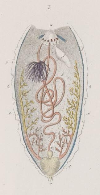 Public Domain Public Domain