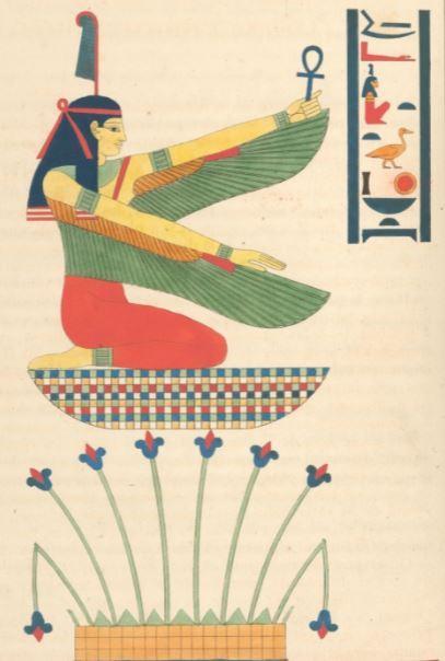 Public Domain Public Domain