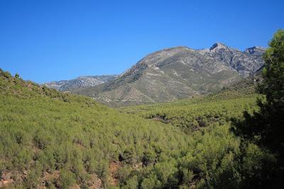 Parques Naturales de Andalucía Parques Naturales de Andalucía