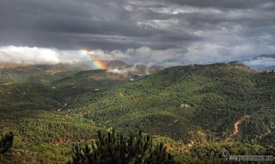 Parques Naturales de Andalucía Parques Naturales de Andalucía