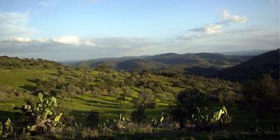 Parques Naturales de Andalucía Parques Naturales de Andalucía