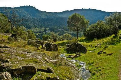 Parques Naturales de Andalucía Parques Naturales de Andalucía